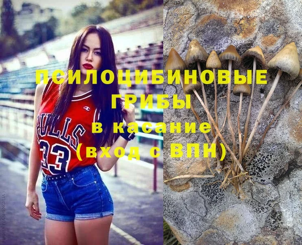прущие крисы Елизово