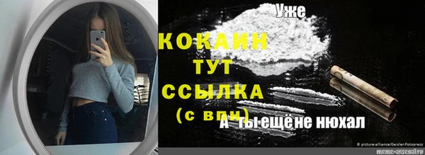 стаф Елабуга