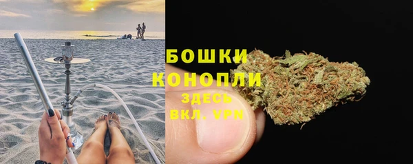 стаф Елабуга