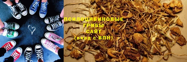 стаф Елабуга