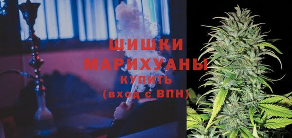 прущие крисы Елизово
