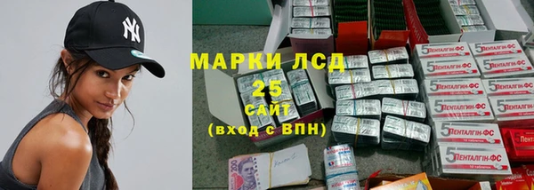 стаф Елабуга
